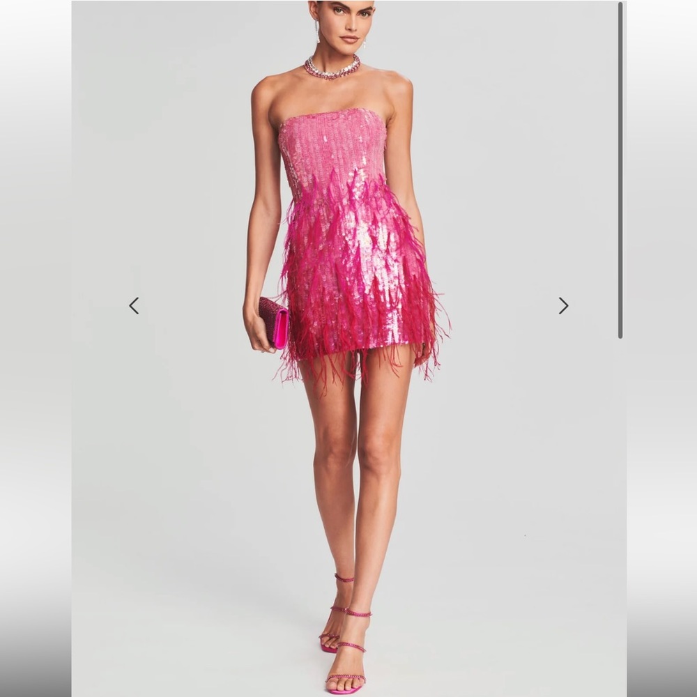 ANASTASIA SEQUIN FEATHER DRESS